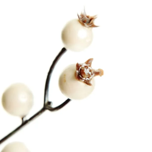 Pearl Berry Spray Twig Best