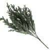 Pine Bush Spray Hot