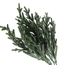Pine Bush Spray Hot