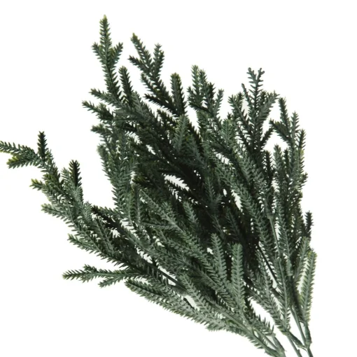 Pine Bush Spray Hot