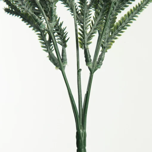 Pine Bush Spray Hot