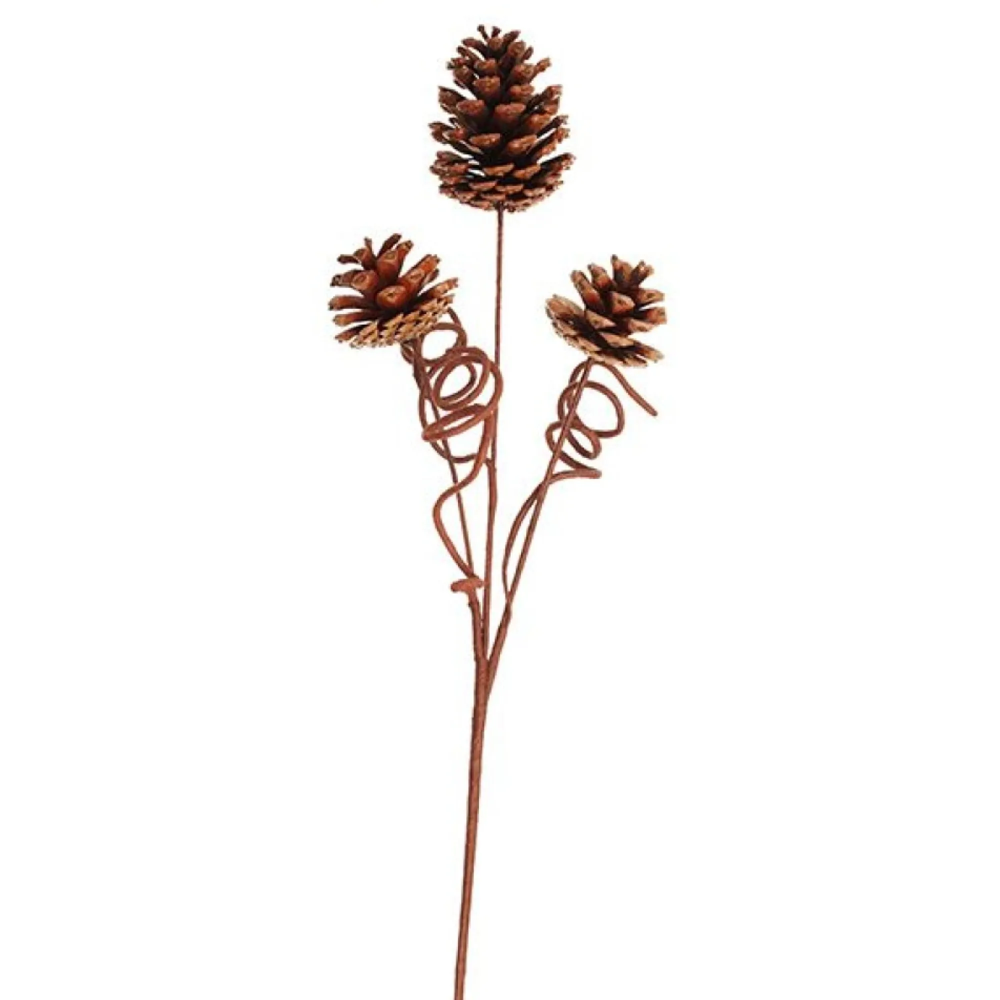 Pinecone Trio Spray Pick Online