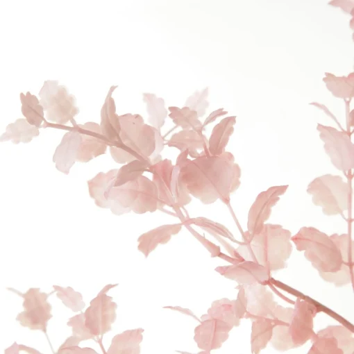 Pink Leafy Spray Clearance