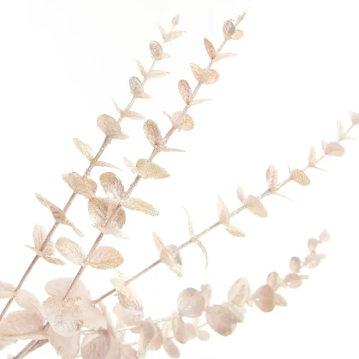Pink Pearl Eucalyptus Dollar Gum Spray Shop