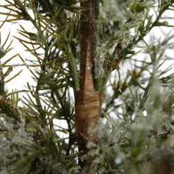 Potted Christmas Pine Tree with Snowy Top Discount