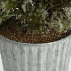Potted Christmas Pine Tree with Snowy Top Discount