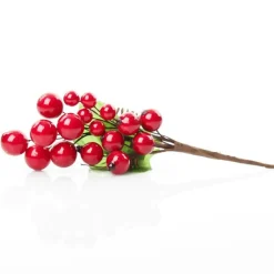 Red Berry Pick - Set of 2 Flash Sale