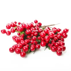 Red Berry Pick - Set of 2 Flash Sale