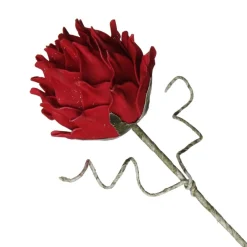 Red Ginger Lily Flower Stem Clearance