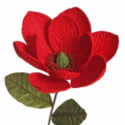 Red Magnolia Flower Stem Store