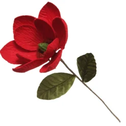 Red Magnolia Flower Stem Store