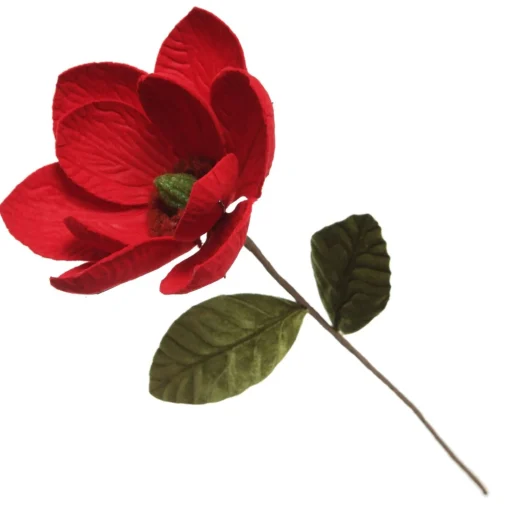 Red Magnolia Flower Stem Store