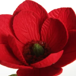 Red Magnolia Flower Stem Store