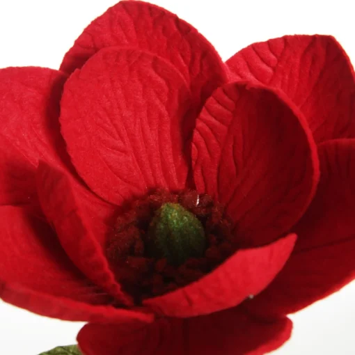Red Magnolia Flower Stem Store