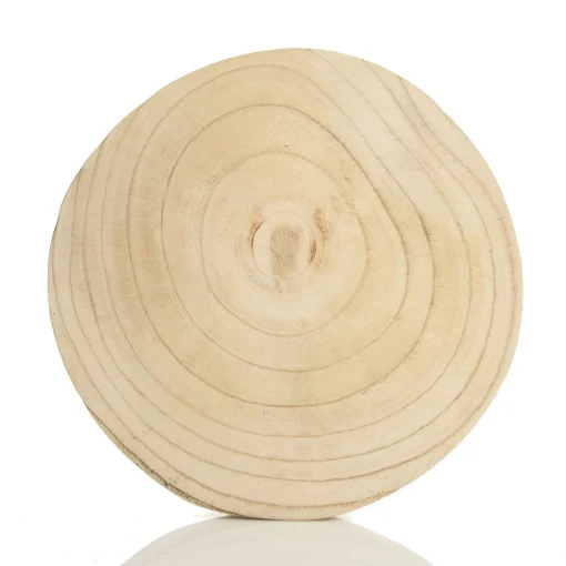 Round Natural Wood Timber Slice Cheap