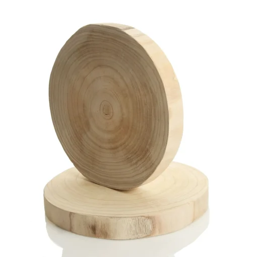 Round Natural Wood Timber Slice Cheap