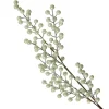 Sage Green Pearl Glitter Berry Spray Store