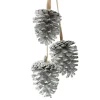 Silver Pine Cone Drop Trio Sale