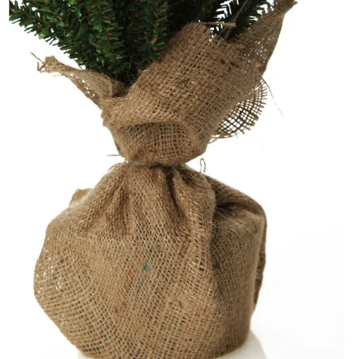 Spruce Christmas Tree Fashion