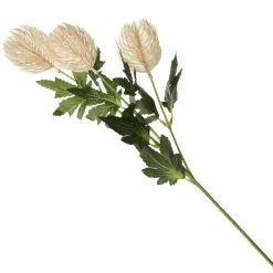 Triple Head Cream Banksia Spray Clearance