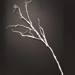 Twig Branch Pearl White Flash Sale