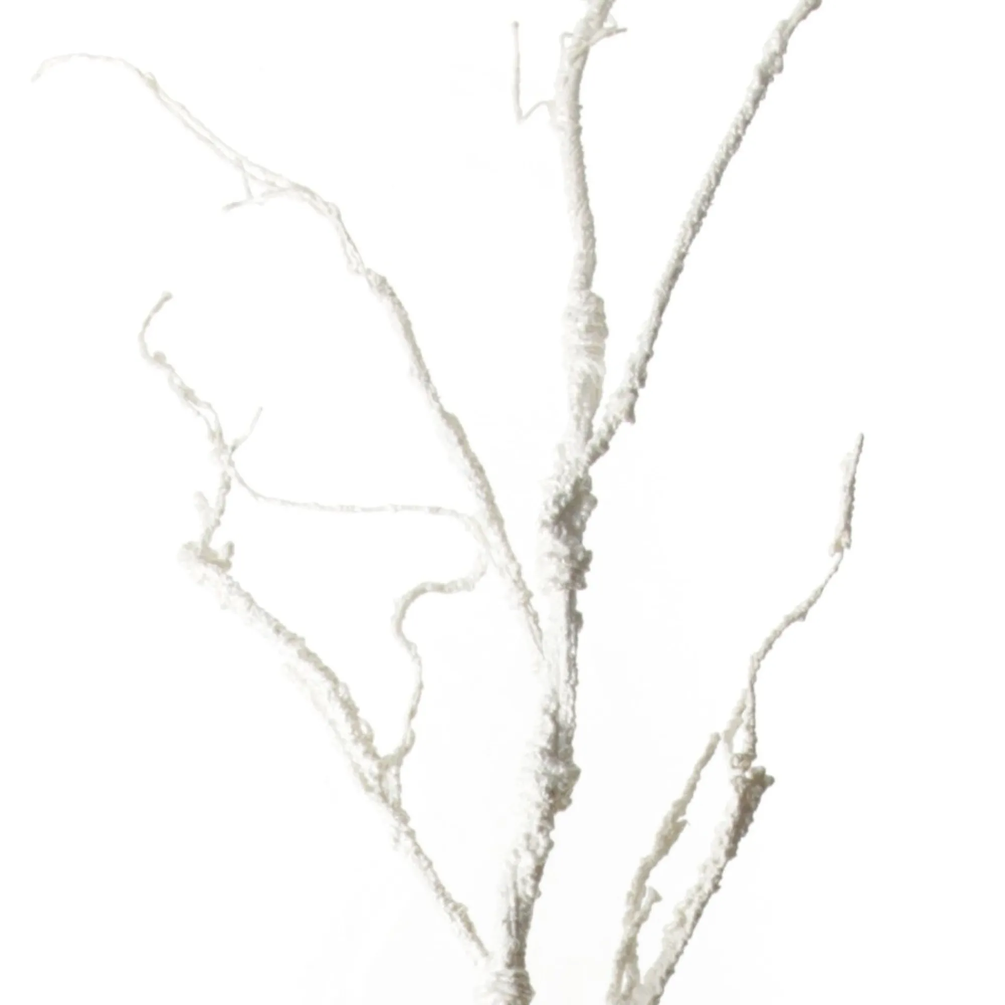 Twig Branch Pearl White Flash Sale