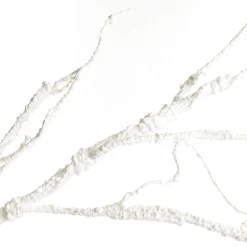 Twig Branch Pearl White Flash Sale
