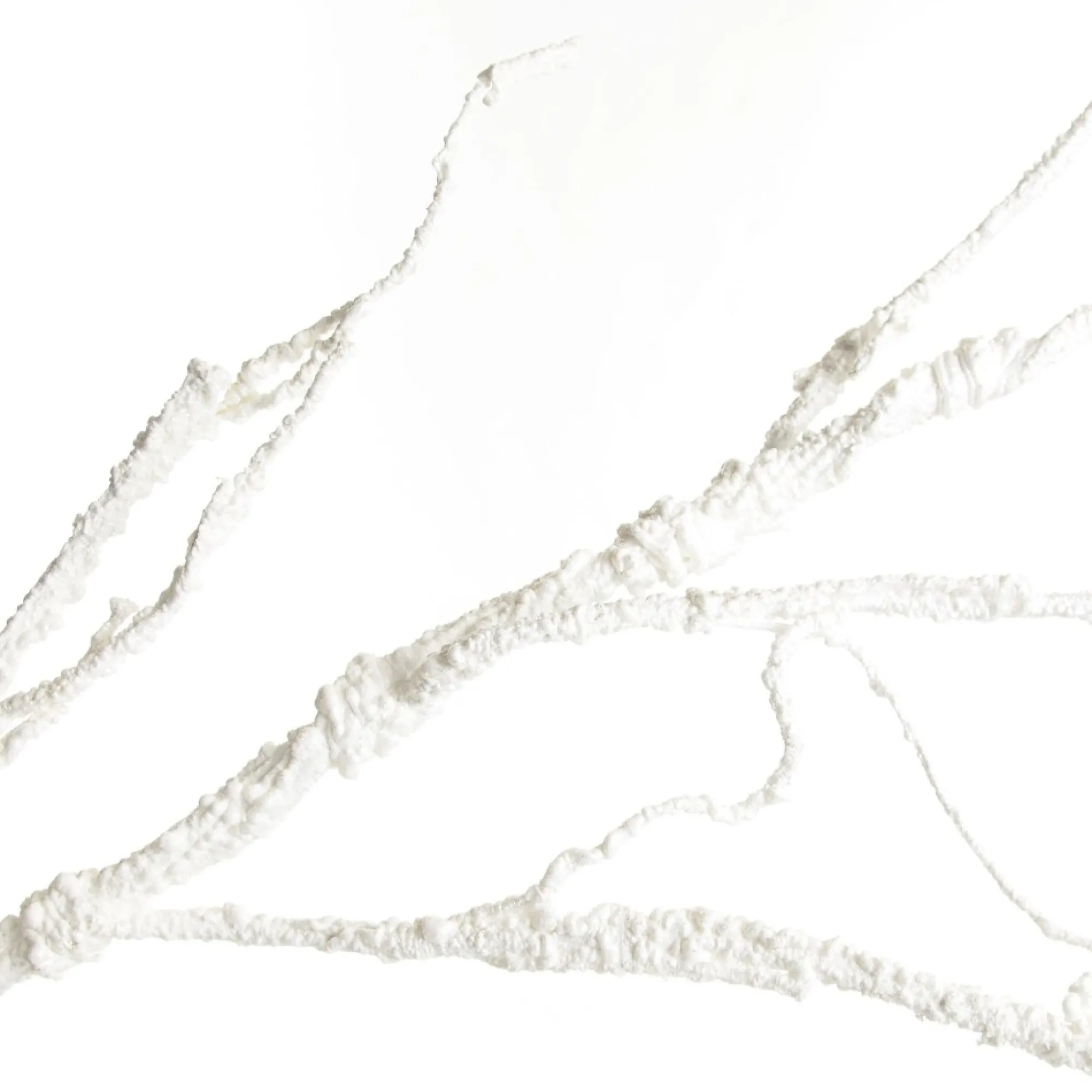 Twig Branch Pearl White Flash Sale