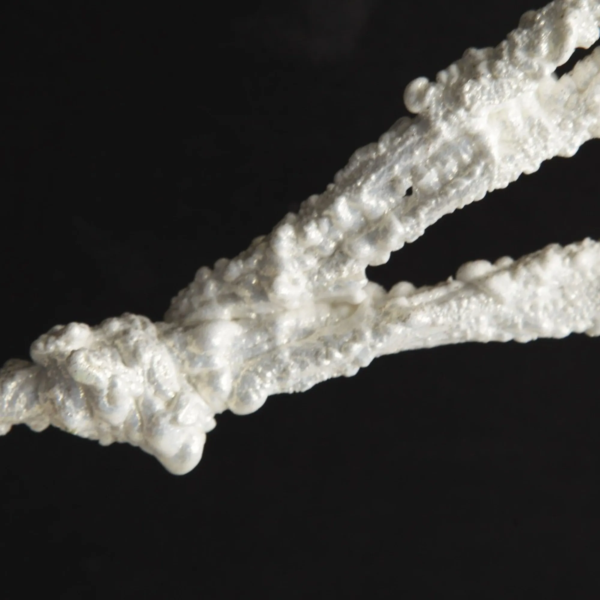 Twig Branch Pearl White Flash Sale