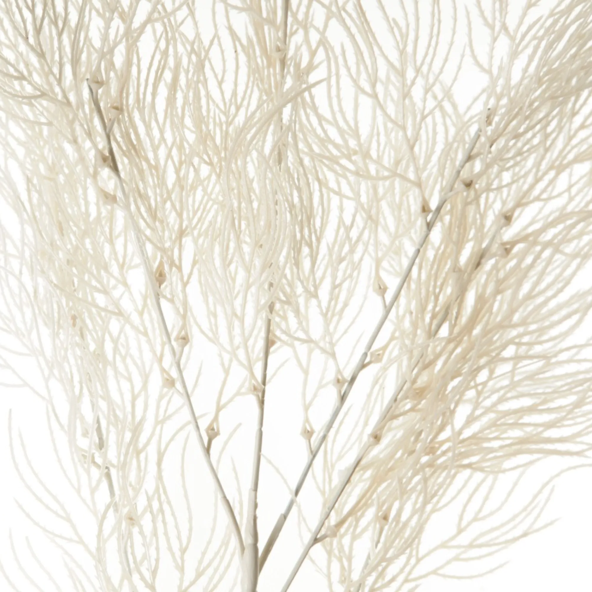 White Feathery Coral Spray Cheap