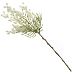 White Wattle Stem Spray Online