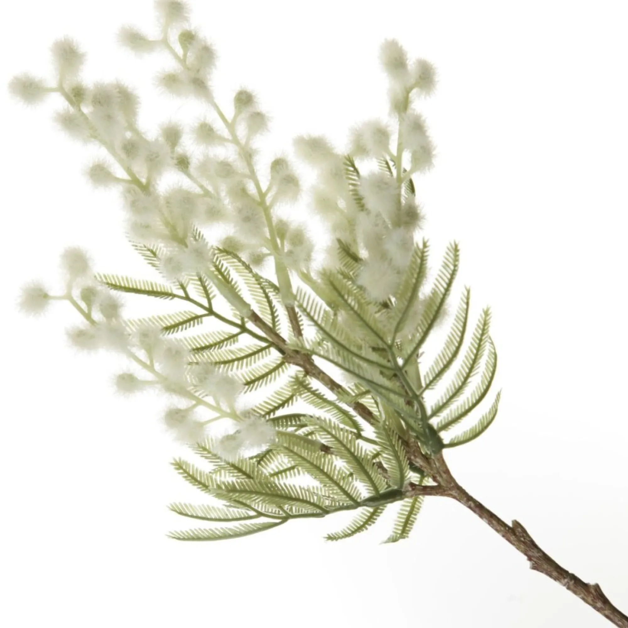 White Wattle Stem Spray Online