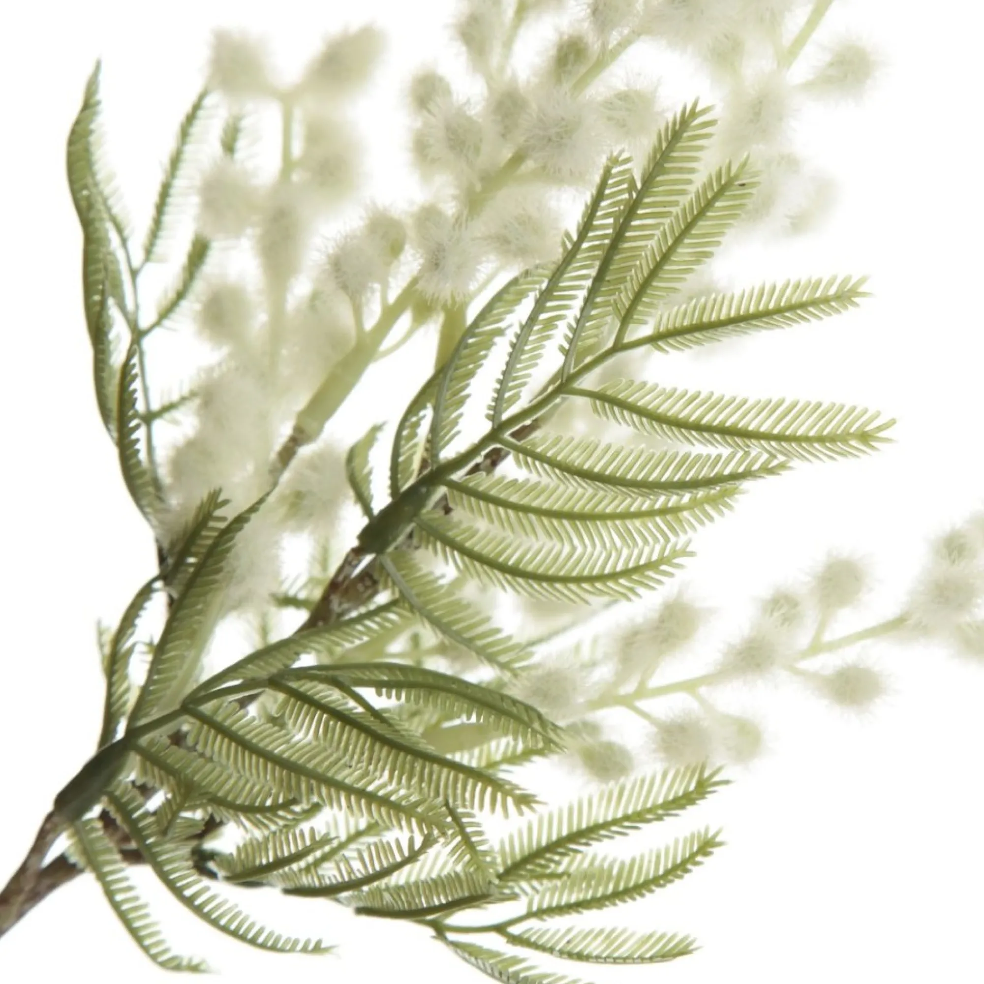 White Wattle Stem Spray Online