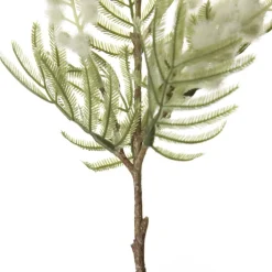 White Wattle Stem Spray Online