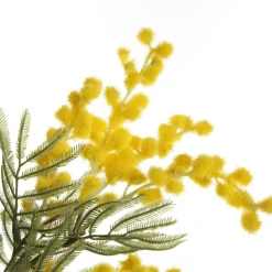 Yellow Wattle Stem Spray Best