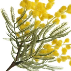 Yellow Wattle Stem Spray Best